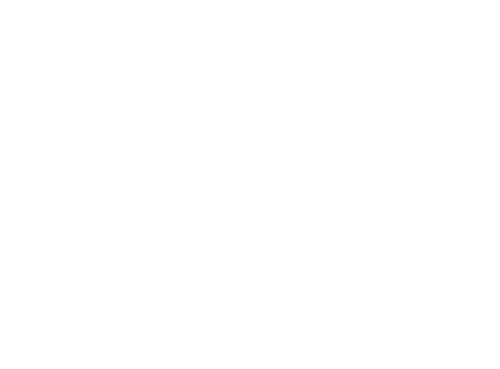 Fenice Servizi Teatrali